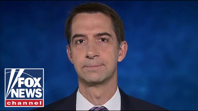 Tom Cotton: Biden blaming Border Patrol for his failures 'disgraceful'