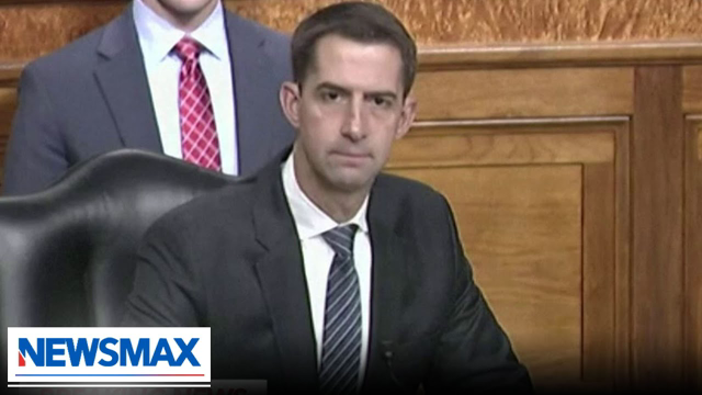 Sen. Tom Cotton asks General Milley why he hasn't resigned