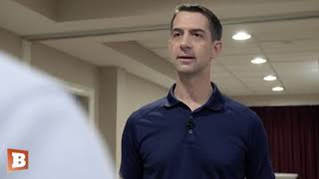Tom Cotton: Hunter Biden's Art "Looks Like Coronavirus Got Sick with a Bacteria"