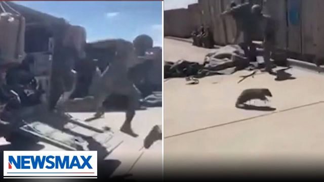 Creature scares U.S. soldiers out of their vehicle | The Chris Salcedo Show