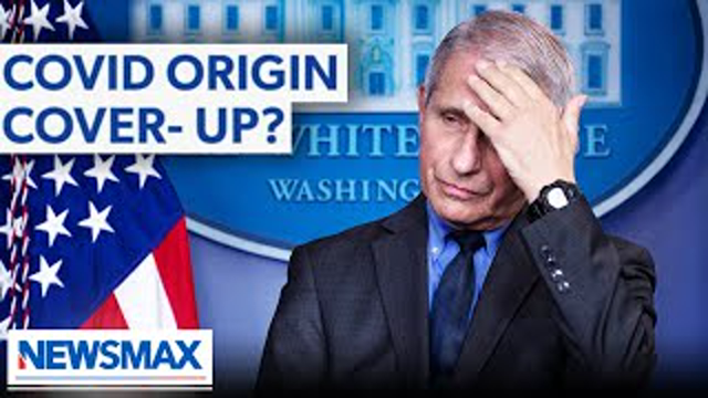 This mess falls on Tony Fauci: Peter Navarro on Newsmax