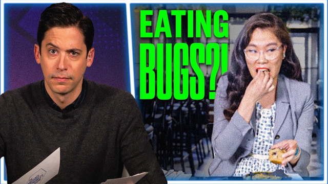 They Want You to Eat Bugs.