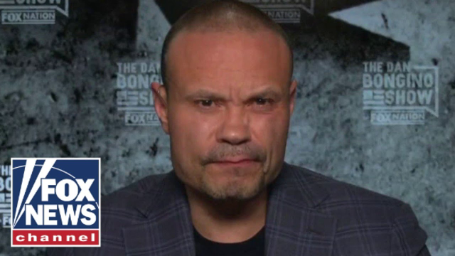 Dan Bongino dismantles Democrats 'totally ridiculous' argument on crime