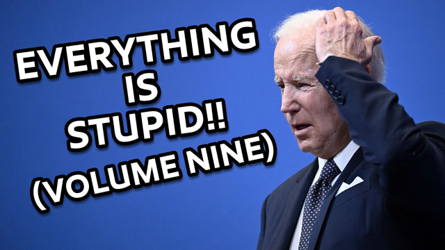EVERYTHING IS STUPID!! (VOLUME NINE)