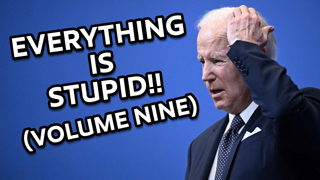 EVERYTHING IS STUPID!! (VOLUME NINE)