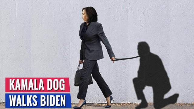 Kamala Just Insulted Joe Biden So Badly That White House Staff Are Reaching Out To Me Shocked