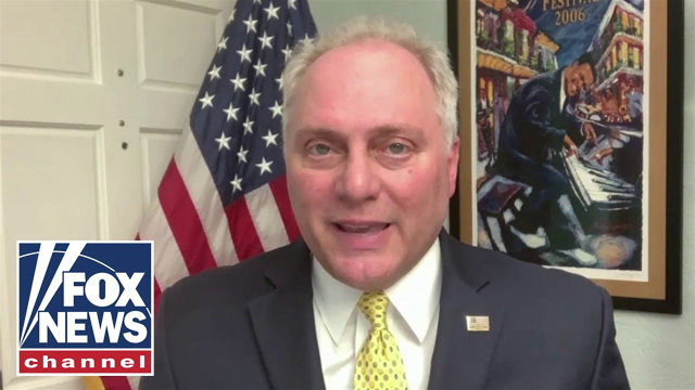 Rep. Steve Scalise says Democrats want to 'kill jobs in America'