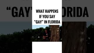 Hands Up, Don't Say Gay