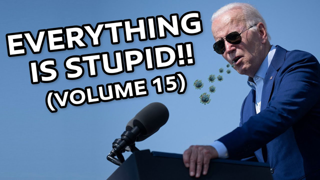 EVERYTHING IS STUPID!! (VOLUME 15)