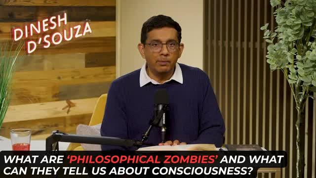'Philosophical Zombies' And Consciousness
