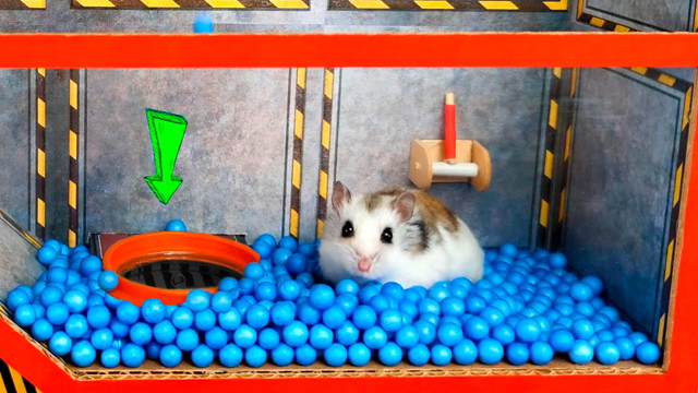 🐹 Hamster stories in the creative spaceship maze. My cute Mister Hamster