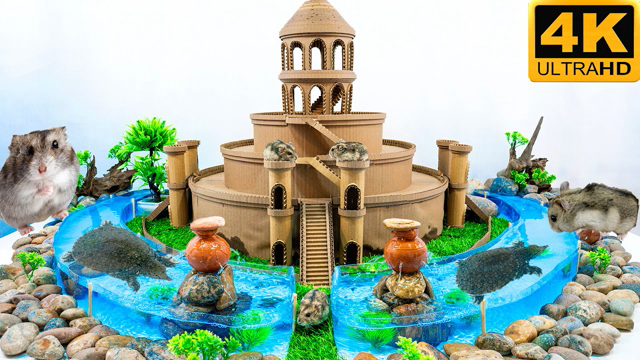 Hamster Maze - Build Hamster Maze Tower With Cardboard And Turtle Pond DIY