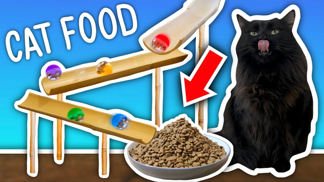 I Built a GIANT MARBLE RUN to Feed My Cats!