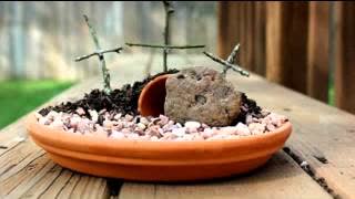 DIY Christian easter craft ideas