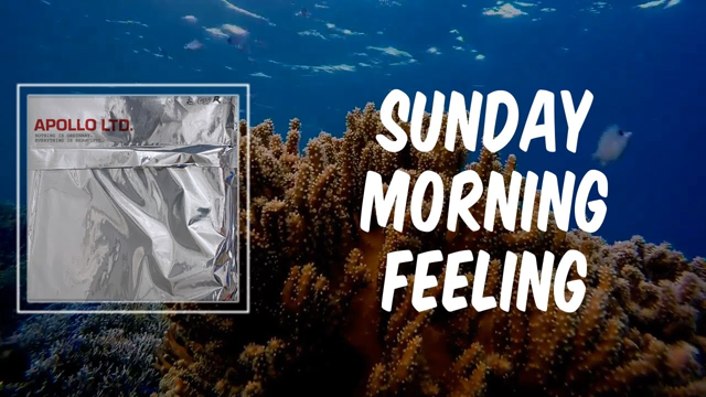 Sunday Morning Feeling (Lyrics) - Apollo LTD